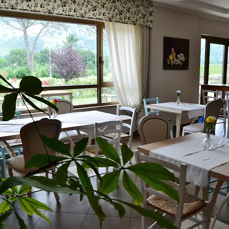 Hotel Giga 3*